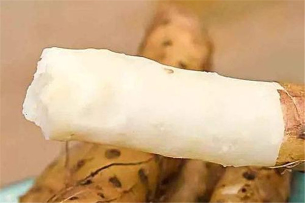 山药算是蔬菜吗,山药属不属于蔬菜