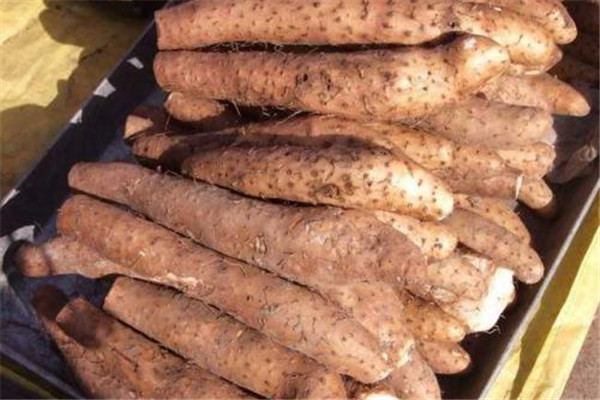 山药可以吃多吗,山药能多吃点吗