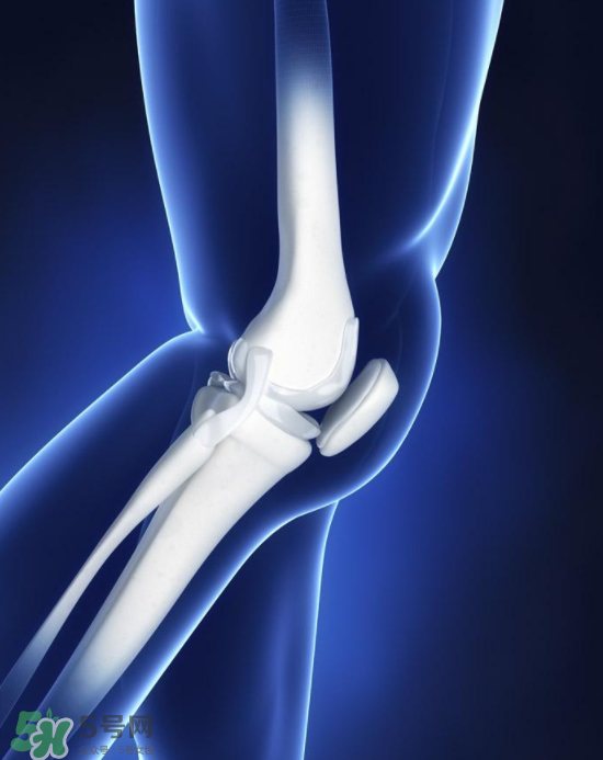 螃蟹的禁忌人群,螃蟹不宜食用人群