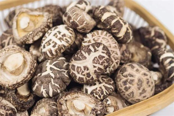 孕早期可以吃鲜香菇吗,孕妇可以吃冬菇吗?