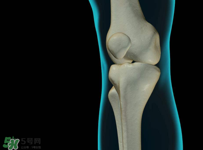 眼影色彩搭配图,眼影的色彩搭配