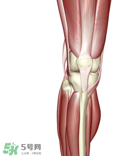 风湿会遗传吗?,风湿病会遗传给下一代吗