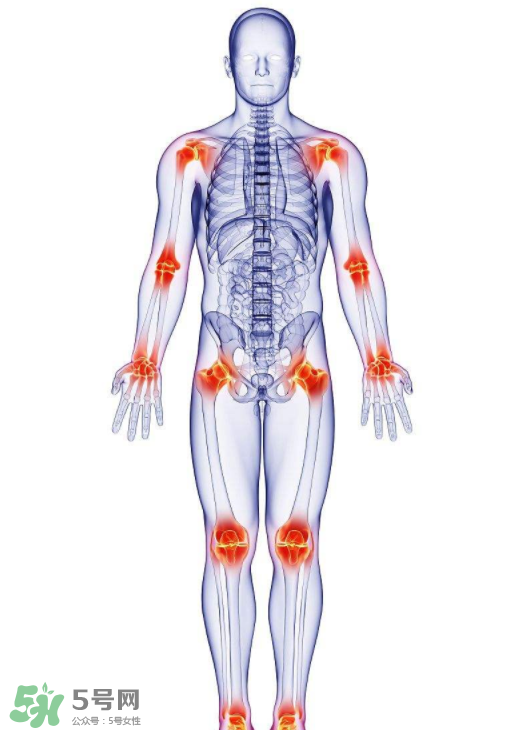 风湿病能吃的食物有哪些,风湿要吃什么食物调养