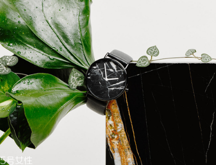 the horse手表官网,thehorse手表中文官网