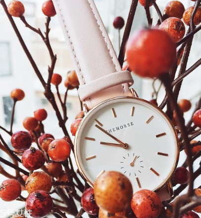 thehorse手表怎么样,the horse手表中国官网 thehorse手表怎么样,the horse手表中国官网