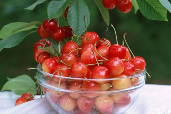 樱桃泡酒的方法,樱桃酒怎么泡制作方法