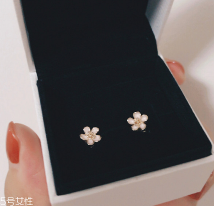 耳环可以用双氧水消毒吗,戴银耳钉可以用双氧水消毒吗 耳环可以用双氧水消毒吗,戴银耳钉可以用双氧水消毒吗