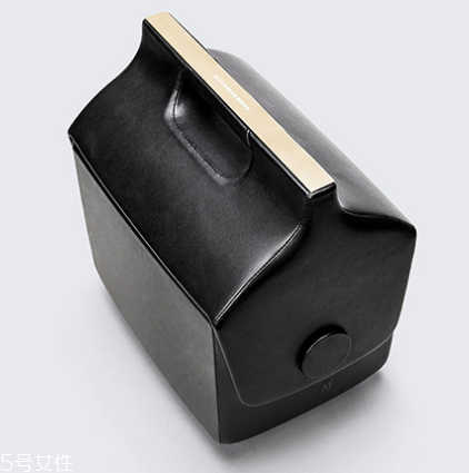 亚历山大王品牌介绍,亚历山大王是什么品牌 亚历山大王品牌介绍,亚历山大王是什么品牌