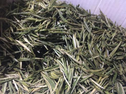 资溪白茶是什么茶,资溪白茶的功效和作用