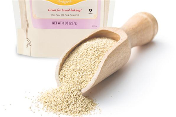 酵母粉在哪里买,酵母粉怎么保存不失效