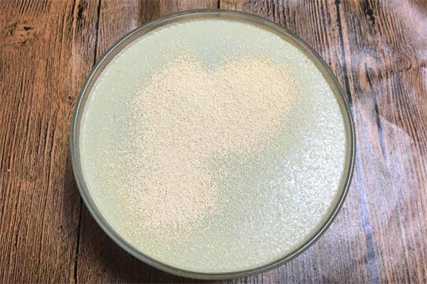 用酵母粉发面的正确方法,酵母粉发面的做法包子 用酵母粉发面的正确方法,酵母粉发面的做法包子