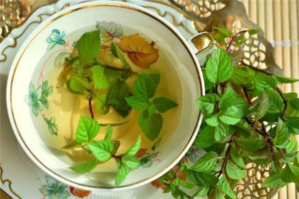 金银花和薄荷可以一起泡水喝吗,薄荷和金银花一起泡有什么作用