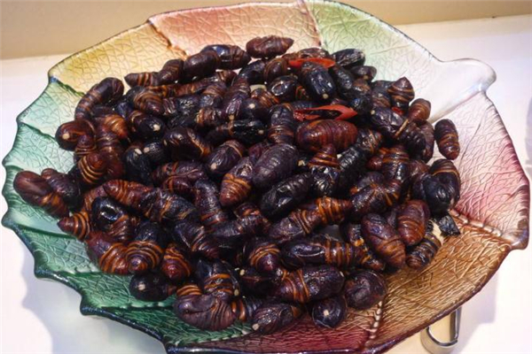 小孩可以吃蚕蛹吗?,为什么小孩子不能吃蚕蛹 小孩可以吃蚕蛹吗?,为什么小孩子不能吃蚕蛹