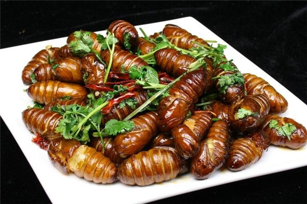 女性吃蚕蛹会长胖吗,吃蚕蛹会长胖吗