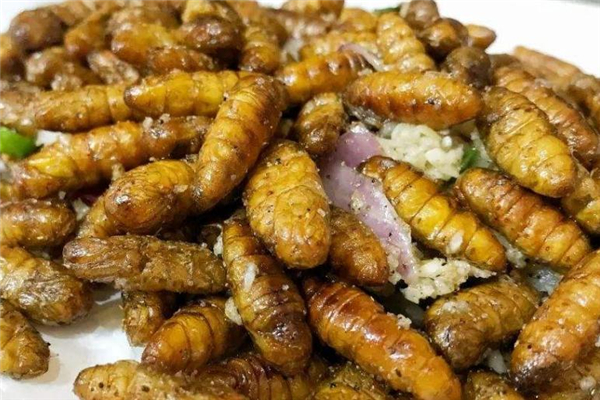 蚕蛹吃了会不会中毒,吃蚕蛹中毒都有哪些症状