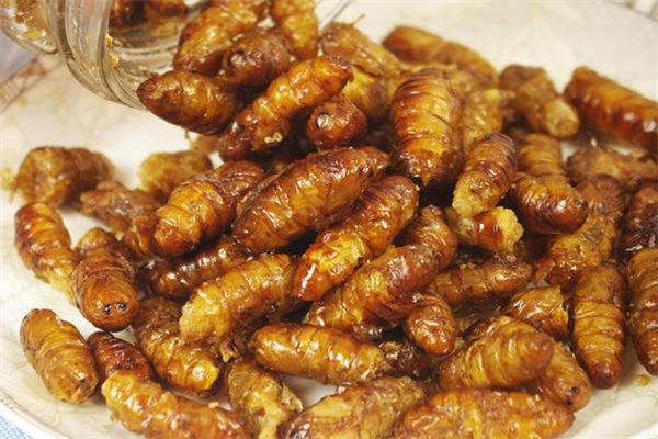 蚕蛹里面的黑东西能吃吗?,为什么蚕蛹里面的黑东西不能吃