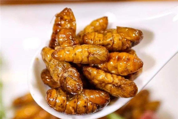 哺乳期能吃蚕蛹吗,会不会导致回奶,哺乳期能吃蚕蛹吗