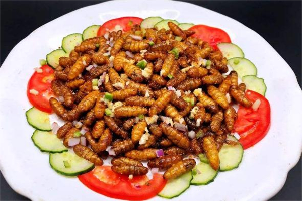 吃蚕蛹会上火吗?,油炸蚕蛹吃多了会不会上火 吃蚕蛹会上火吗?,油炸蚕蛹吃多了会不会上火