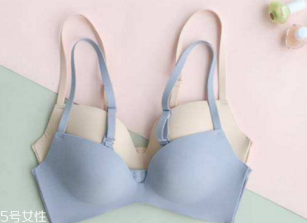 文胸和内衣有啥区别,文胸和内衣的区别 文胸和内衣有啥区别,文胸和内衣的区别