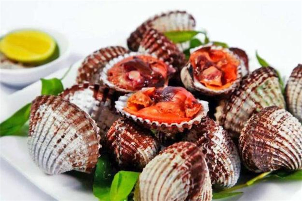 血蚶怎么保存方法,血蚶怎么保存活的时间长点