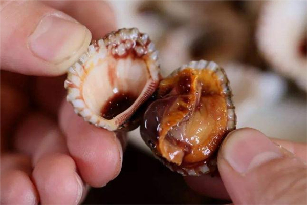 血蚶的做法和吃法,紫菜血蚶的做法