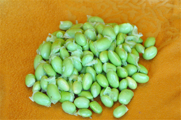 煮毛豆的做法下厨房,煮毛豆的做法大全窍门 煮毛豆的做法下厨房,煮毛豆的做法大全窍门