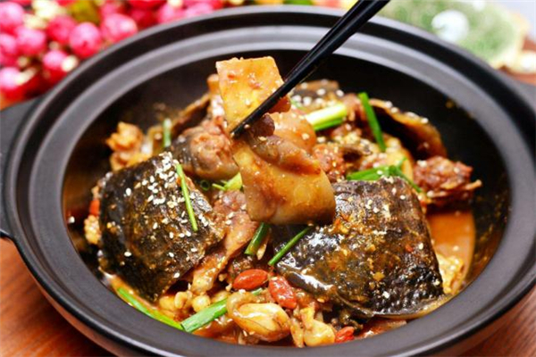 甲鱼不能和什么一起吃(甲鱼不能和什么一起吃会中毒) 甲鱼不能和什么一起吃(甲鱼不能和什么一起吃会中毒)