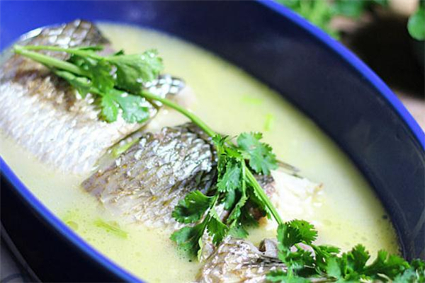 梭鱼是淡水鱼还是海鱼怎么分辨,梭鱼是淡水鱼还是海鱼多少钱一斤