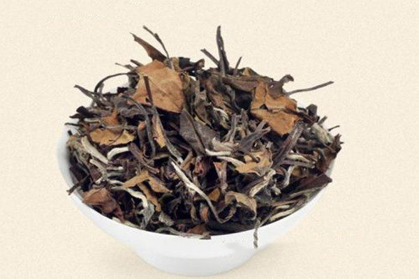 接种hpv疫苗是为了预防什么疾病(接种hpv疫苗是为了预防什么疾病)