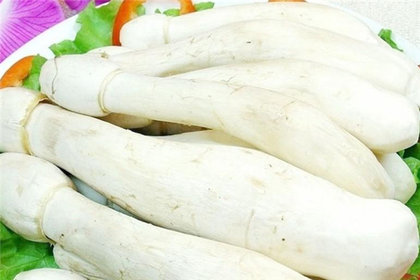 鸡腿菇怎么切菱形片,鸡腿菇怎样炒好吃