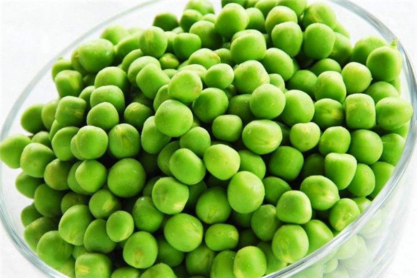 青豆发芽了还能吃吗有毒吗,青豆发芽了还能吃吗?