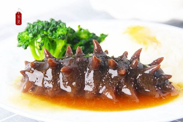 冬天吃海参的好处,海参夏天吃好还是冬天吃好 冬天吃海参的好处,海参夏天吃好还是冬天吃好