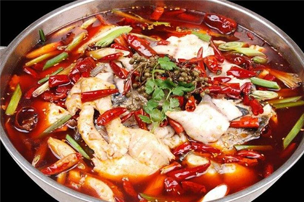 石斑鱼火锅的做法窍门,石斑鱼火锅的做法 石斑鱼火锅的做法窍门,石斑鱼火锅的做法