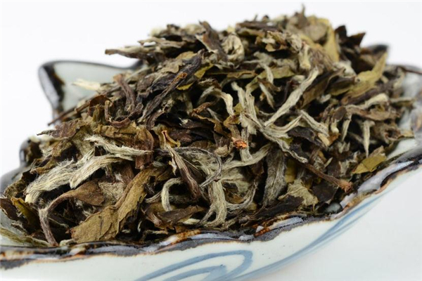 老白茶属于什么茶系列,白茶属于什么茶