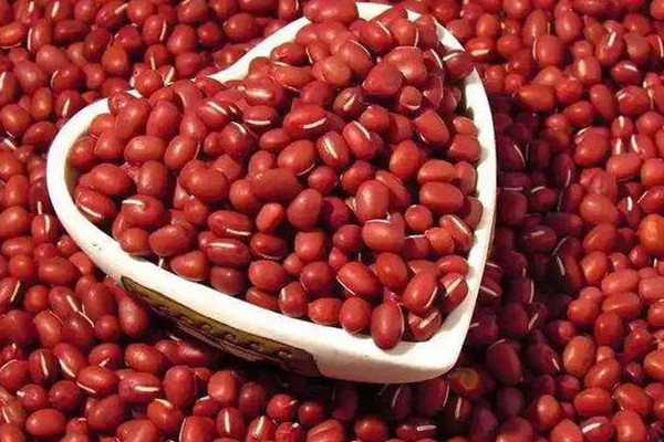 正确的瘦腿方法,如何能瘦腿