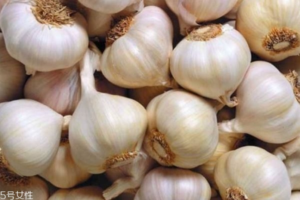 蒜水可以治咳嗽吗,蒜水能治咳嗽怎么做 蒜水可以治咳嗽吗,蒜水能治咳嗽怎么做
