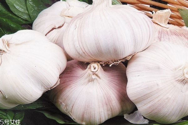 大蒜吃了有什么好处,大蒜对胃不好的人能不能吃