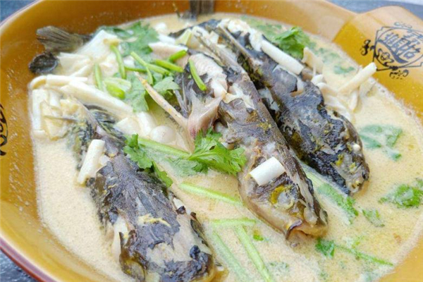 昂刺鱼汤的做法窍门,昂刺鱼汤怎么做好吃 昂刺鱼汤的做法窍门,昂刺鱼汤怎么做好吃