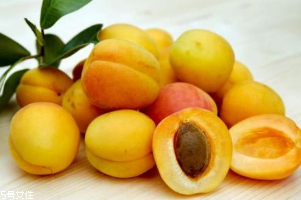 杏子吃多了会拉肚子吗,杏子吃多了会拉肚子吗 杏子要吃成熟的