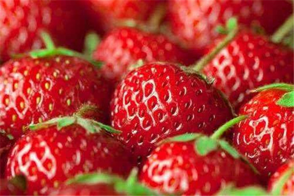 鲜草莓的功效和作用,什么草莓最好吃又甜