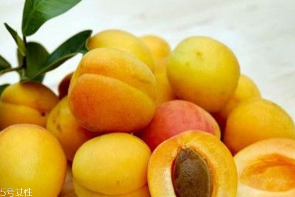 杏子是枇杷吗,枇杷和杏子的区别