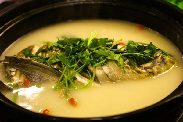 鳙鱼和鲢鱼的区别图片,鳙鱼和鲢鱼的区别