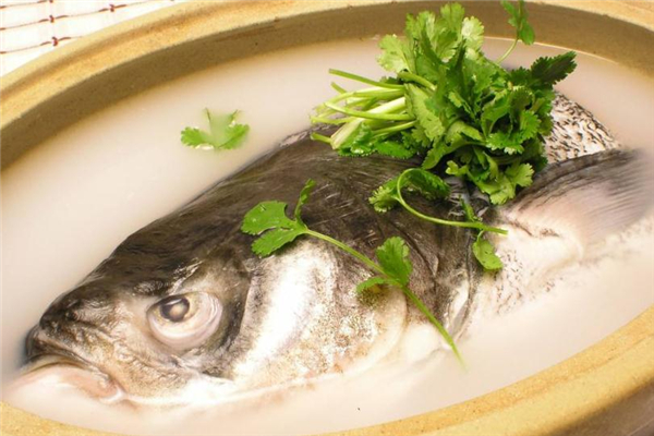 鳙鱼是什么鱼?鳙鱼图片,千岛湖鳙鱼是什么鱼