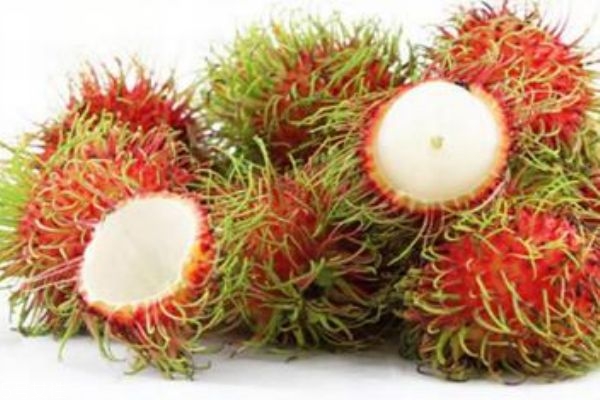 红薯能和虾一起吃吗,红毛丹和什么不能一起吃