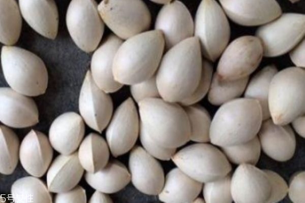 白果一般吃多少合适,每天吃多少白果为宜 白果一般吃多少合适,每天吃多少白果为宜