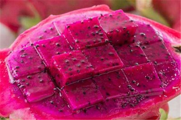 火龙果可以经常吃吗?会湿气重吗?,火龙果含糖高吗 火龙果可以经常吃吗?会湿气重吗?,火龙果含糖高吗