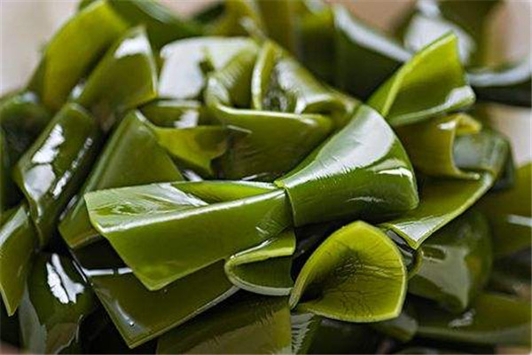 泡好的海带能放冰箱冷冻吗,海带能放冰箱冷冻吗?