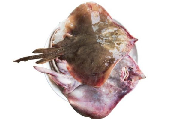 老板鱼不能和什么同食,鱼不可以跟什么一起吃