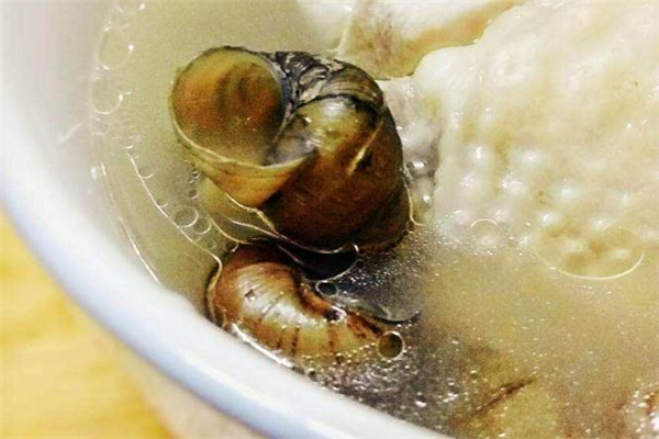 石螺鸡汤的做法大全,石螺鸡汤的做法窍门