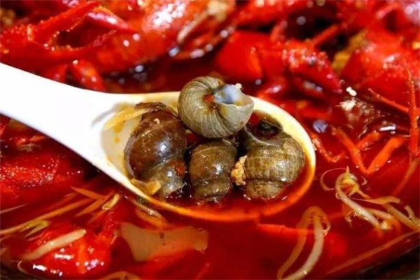 石螺和田螺的区别图片,石螺和田螺的区别